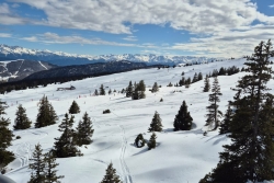 Sortie du 19 mars + carré neige