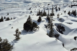 Sortie du 19 mars + carré neige