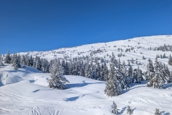 Journée entraînement